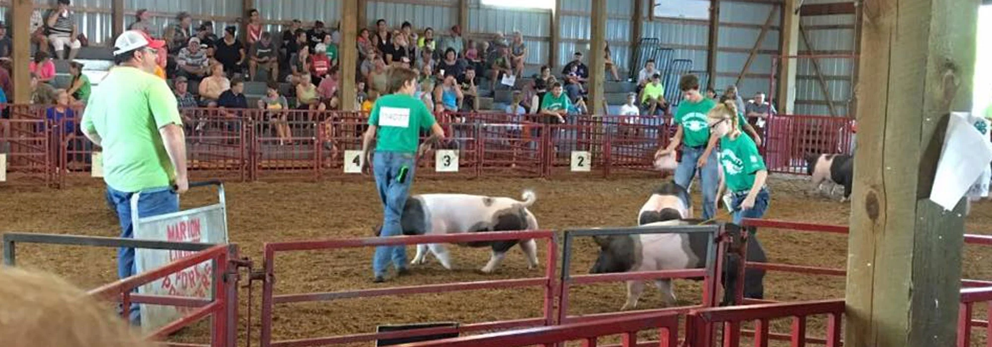 Home Marion County Fair Annual County Fair in Knoxville, Iowa